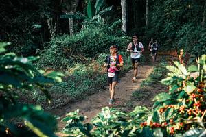 BIB: 
                            <button type="button" onclick="openModal(25812549)" class="btn btn-primary btn-sm float-right btn-popup" data-toggle="modal" data-target=".modal-high-quality">
                        <i class="fas fa-shopping-cart"></i> Add to Cart
                    </button>
                                            <button type="button" onclick="isThisMe(25812549, true)" class="btn btn-success btn-sm float-right btn-popup btn-isme hidden" data-toggle="tooltip" data-placement="bottom" title="นี่คือรูปของคุณใช่ไหม คลิกที่นี่เพื่อเอาเข้าอัลบั้ม">
                        <i class="fas fa-plus"></i> Add to album
                    </button>
                    <button type="button" onclick="isThisMe(25812549, false)" class="btn btn-warning btn-sm float-right btn-popup btn-isnotme hidden">
                        <i class="fas fa-ban"></i> Remove from album
                    </button>